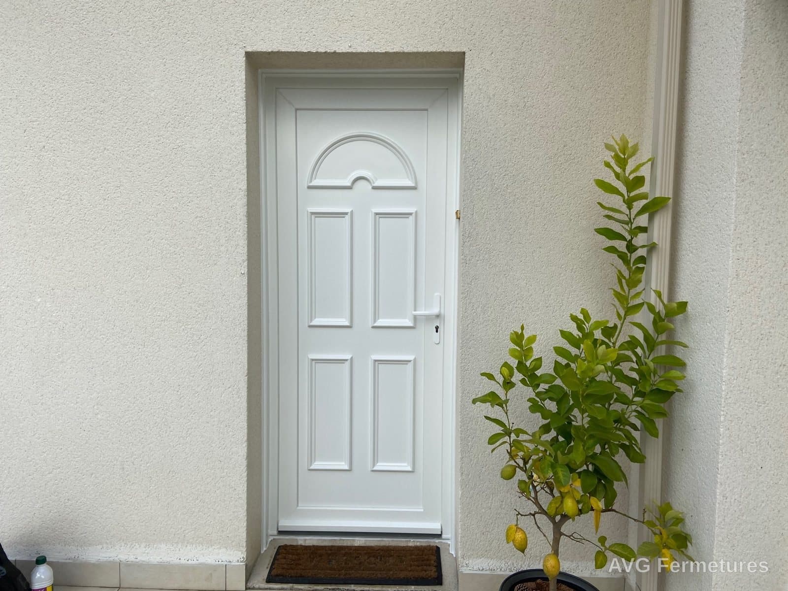 Porte d'entrée PVC blanche à panneau cintré